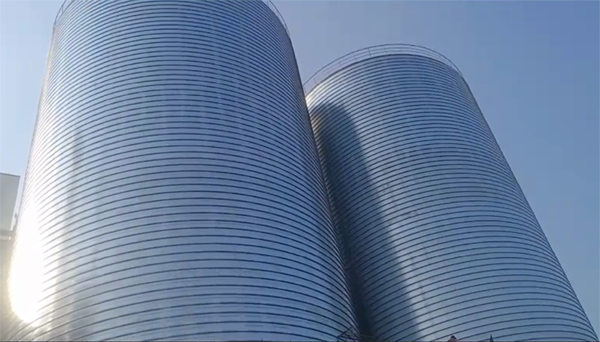 鼎城2座混凝土高架卷板仓